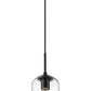 Z-Lite Monty 5" 1-Light Matte Black Pendant Light With Seedy Glass Shade