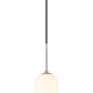 Z-Lite Monty 5" W x 22" H 1-Light Brushed Nickel Pendant Light With Matte Opal Glass Shade