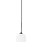 Z-Lite Monty 5" W x 22" H 1-Light Matte Black Pendant Light With Matte Opal Glass Shade