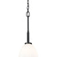 Z-Lite Naya 1-Light Medium Bulb Base Matte Black Steel Frame Matte Opal Glass Shade Pendant Light