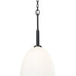Z-Lite Naya 1-Light Medium Bulb Base Matte Black Steel Frame Matte Opal Glass Shade Pendant Light