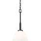 Z-Lite Naya 1-Light Medium Bulb Base Matte Black Steel Frame Matte Opal Glass Shade Pendant Light