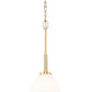 Z-Lite Naya 1-Light Medium Bulb Base Modern Gold Steel Frame Matte Opal Glass Shade Pendant Light