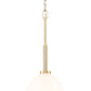 Z-Lite Naya 1-Light Medium Bulb Base Modern Gold Steel Frame Matte Opal Glass Shade Pendant Light