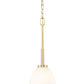 Z-Lite Naya 1-Light Medium Bulb Base Modern Gold Steel Frame Matte Opal Glass Shade Pendant Light