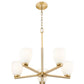 Z-Lite Naya 5-Light Medium Bulb Base Modern Gold Steel Frame Matte Opal Glass Shade Chandelier