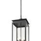 Z-Lite Nova 5018CHB-BK 4-Light Candelabra Base Black Aluminum Clear Glass Shade Outdoor Chain Mount Ceiling Fixture