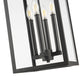 Z-Lite Nova 5018CHB-BK 4-Light Candelabra Base Black Aluminum Clear Glass Shade Outdoor Chain Mount Ceiling Fixture