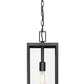 Z-Lite Nuri 8" 1-Light Black Aluminum Outdoor Chain Mount Ceiling Fixture With Clear Glass Shade