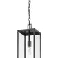Z-Lite Nuri 8" 1-Light Black Aluminum Outdoor Chain Mount Ceiling Fixture With Clear Glass Shade
