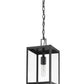 Z-Lite Nuri 8" W x 16" H 1-Light Black Aluminum Outdoor Chain Mount Ceiling Fixture With Clear Glass Shade