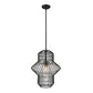 Z-Lite Orsay 15" 1-Light Clear Glass Shade Pendant Light With Matte Black Frame Finish