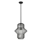 Z-Lite Orsay 15" 1-Light Clear Glass Shade Pendant Light With Matte Black Frame Finish