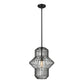 Z-Lite Orsay 15" 1-Light Clear Glass Shade Pendant Light With Matte Black Frame Finish