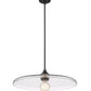 Z-Lite Paloma 24" 1-Light Matte Black Pendant Light With Clear Glass Shade