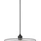 Z-Lite Paloma 24" 1-Light Matte Black Pendant Light With Clear Glass Shade