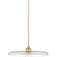Z-Lite Paloma 24" 1-Light Olde Brass Pendant Light With Clear Glass Shade