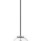 Z-Lite Parsons 14" 1-Light Matte Black and Brushed Nickel Pendant Light With Clear Glass Shade
