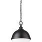 Z-Lite Peyton 12" 2-Light Matte Black Iron Pendant Light