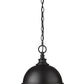 Z-Lite Peyton 12" 2-Light Matte Black Iron Pendant Light