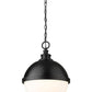Z-Lite Peyton 15" 2-Light Matte Black Iron Pendant Light