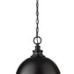 Z-Lite Peyton 15" 2-Light Matte Black Iron Pendant Light