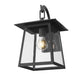 Z-Lite Rainer 10" 1-Light Black Aluminum Outdoor Wall Light With Clear Seedy Glass Shade