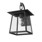 Z-Lite Rainer 10" 1-Light Black Aluminum Outdoor Wall Light With Clear Seedy Glass Shade