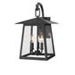 Z-Lite Rainer 12" 3-Light Black Aluminum Outdoor Wall Light With Clear Seedy Glass Shade
