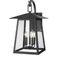 Z-Lite Rainer 16" 5-Light Black Aluminum Outdoor Wall Light With Clear Seedy Glass Shade