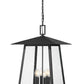 Z-Lite Rainer 18" 6-Light Black Aluminum Outdoor Chain Mount Ceiling Fixture With Clear Seedy Glass Shade