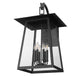Z-Lite Rainer 18" 6-Light Black Aluminum Outdoor Wall Light With Clear Seedy Glass Shade