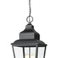 Z-Lite Raphael 4-Light Sand Black Aluminum Frame Clear Seedy Glass Shade Outdoor Chain Mount Ceiling Fixture