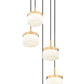 Z-Lite Renaud 16" 5-Light LED-Integrated Modern Gold Steel Frame Feathered White Glass Shade Chandelier