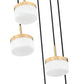 Z-Lite Renaud 16" 5-Light LED-Integrated Modern Gold Steel Frame Feathered White Glass Shade Chandelier