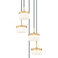 Z-Lite Renaud 16" 5-Light LED-Integrated Modern Gold Steel Frame Feathered White Glass Shade Chandelier