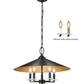 Z-Lite Rialto 22" 5-Light Candelabra Matte Black Steel With Signature Rubbed Brass Inner Shade Pendant Light