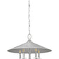 Z-Lite Rialto 22" 5-Light Candelabra Signature Pewter Steel Pendant Light