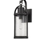 Z-Lite Roundhouse 6" 1-Light Black Outdoor Wall Sconce With Clear Seedy Glass Shade