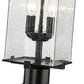 Z-Lite Sana 592PHMR-567P-BK 2-Light Black Aluminum Frame Clear Seedy Glass Shade Outdoor Post Mounted Fixture