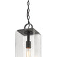 Z-Lite Sana 7" 1-Light Black Aluminum Outdoor Chain Mount Ceiling Fixture With Seedy Glass Shade