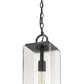 Z-Lite Sana 7" 1-Light Black Aluminum Outdoor Chain Mount Ceiling Fixture With Seedy Glass Shade