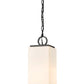 Z-Lite Sana 7" 1-Light Black Aluminum Outdoor Chain Mount Ceiling Fixture With White Opal Glass Shade