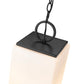 Z-Lite Sana 8" 3-Light Black Aluminum Outdoor Chain Mount Ceiling Fixture With White Opal Glass Shade