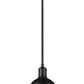 Z-Lite Sawyer 9" 1-Light Matte Black Iron Pendant Light