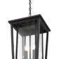 Z-Lite Seoul 12" 2-Light Black Aluminum Outdoor Chain Mount Ceiling Fixture With Clear Glass Shade