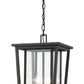 Z-Lite Seoul 12" 2-Light Black Aluminum Outdoor Chain Mount Ceiling Fixture With Clear Glass Shade