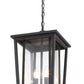 Z-Lite Seoul 12" 2-Light Oil Rubbed Bronze Aluminum Outdoor Chain Mount Ceiling Fixture With Clear Glass Shade