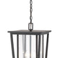 Z-Lite Seoul 12" 2-Light Oil Rubbed Bronze Aluminum Outdoor Chain Mount Ceiling Fixture With Clear Glass Shade