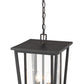 Z-Lite Seoul 12" 2-Light Oil Rubbed Bronze Aluminum Outdoor Chain Mount Ceiling Fixture With Clear Glass Shade